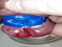 Pain cbt insertion bdsm pervers