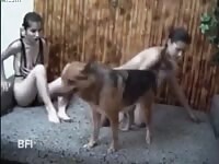 Fucking dog