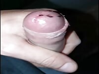 Catching ants with cock