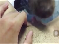 Cute Doggy sucking Clitty Dog licking Pussy Teen Clit