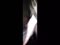Teen Girl gets fucked in the Pussy with Horse Cock 