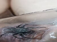 What kind of spider is this?