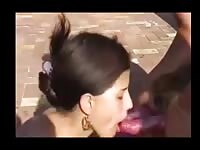 Zoo Compilation