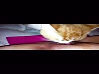 Cat licks Peanut Butter of fat Pussy Phat Coochie Clit Lick