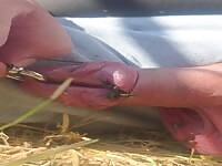 Green flies on my cock 