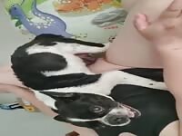 Chinese couple love dog's semen