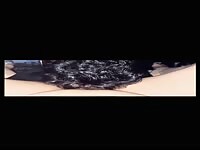 Latina Spice Pussy Eating