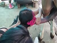 Horse gagging compilation