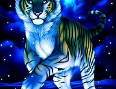 Katt712