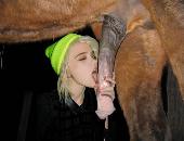 RonaldHorse9