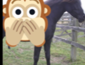 Grossersucht