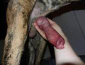 Bigthick7
