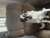 WyleE