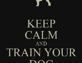 Playondog