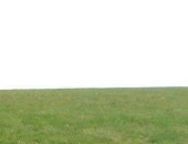 PetiteBeckis