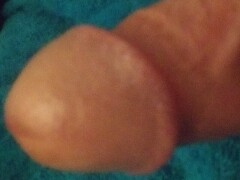 Beastlover123