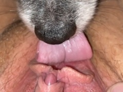 Animallover04
