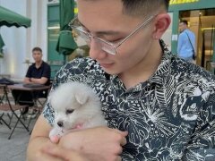 Vietnamsexdog69