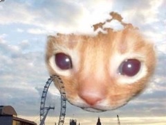 Vqwnq