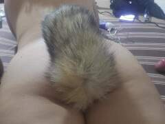 Straycat69