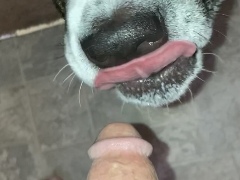 Purgemilf