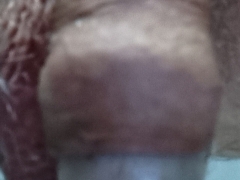 Elorgxx