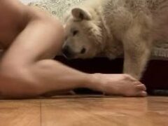 Loveanjing