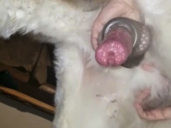 Slut4knottycocks