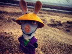 Sillybanan1183