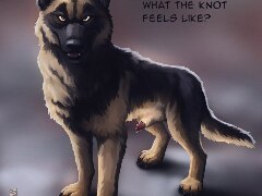 AlphaKnoTDog