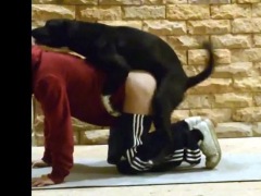 K9sub69
