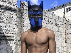 Maskeddogtv