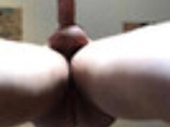 The1hornydaddy